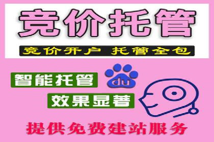 专业百度竞价托管外包成功案例分享